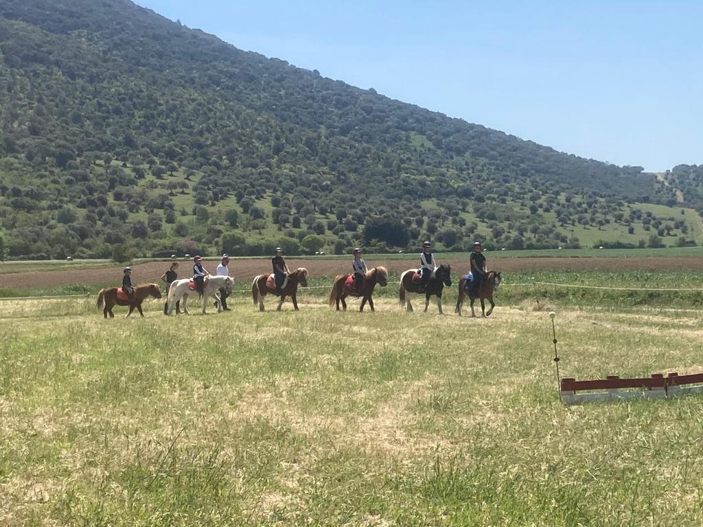 Agriturismo con cavalli maremma - Agriturismo il Bagnolo